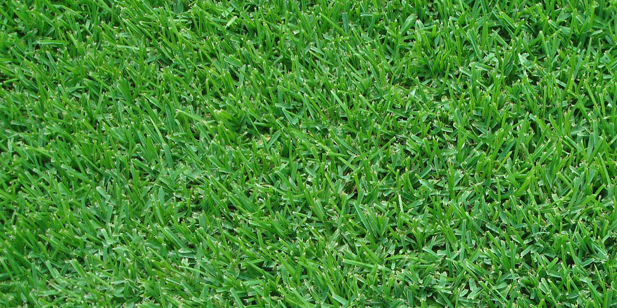 Seville Saint Augustine